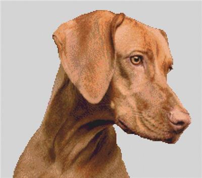 (image for) Vizsla Beauty